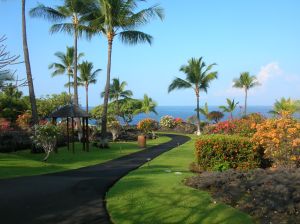 Big Island 2012 037