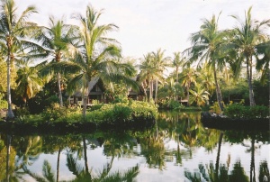 Kona Village Resort in 2004